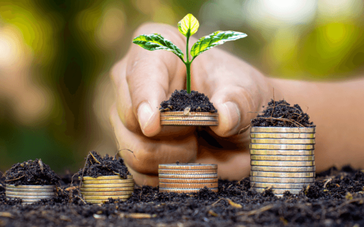 Qual investimento gera renda mais constante: descubra as melhores opções para proteger e crescer seu patrimônio