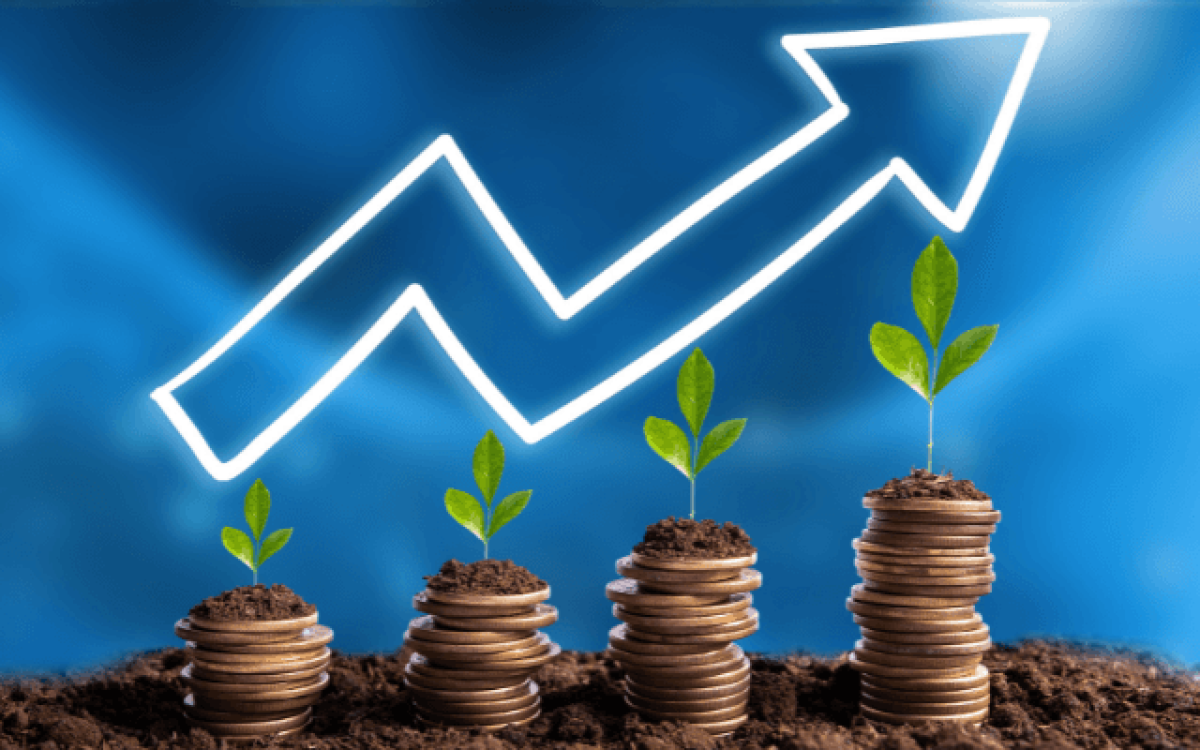 Como Funciona o Pagamento de Dividendos: Guia Completo para Investidores
