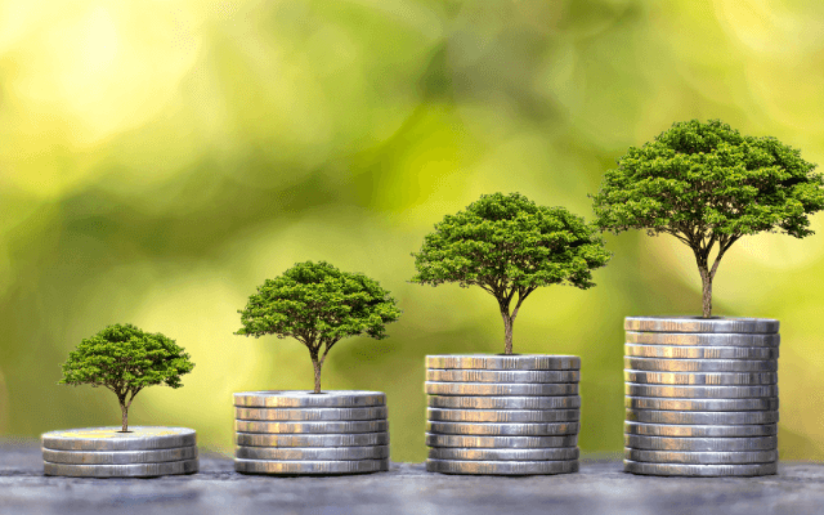 5 fontes de renda passiva com investimentos: Como construir liberdade financeira