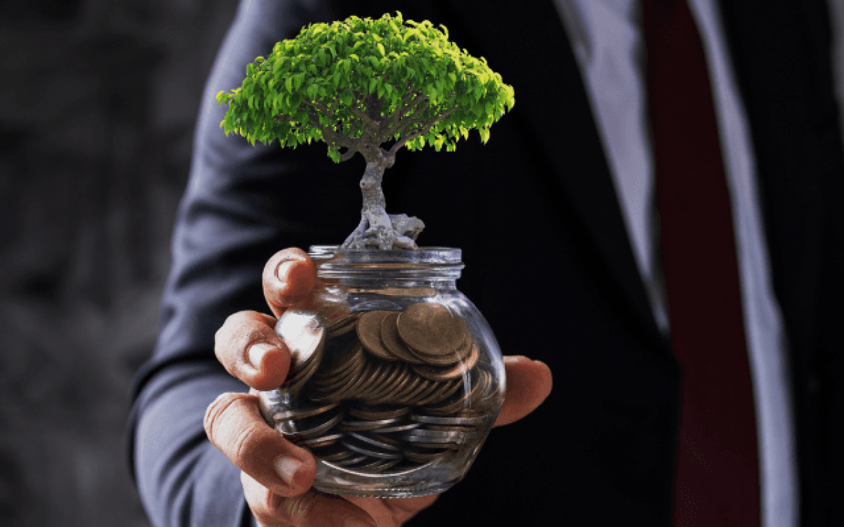 O que é CDB? Entenda esse investimento de Renda Fixa