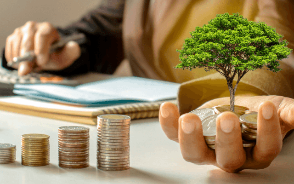 Como investir com pouco dinheiro: Um guia prático para começar do jeito certo!