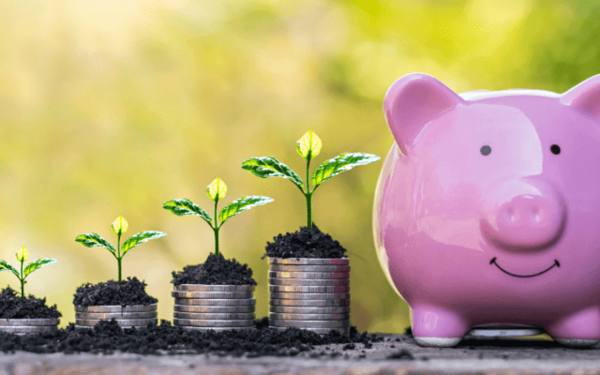 Como começar a investir: Guia completo para sair do zero com segurança e estratégia