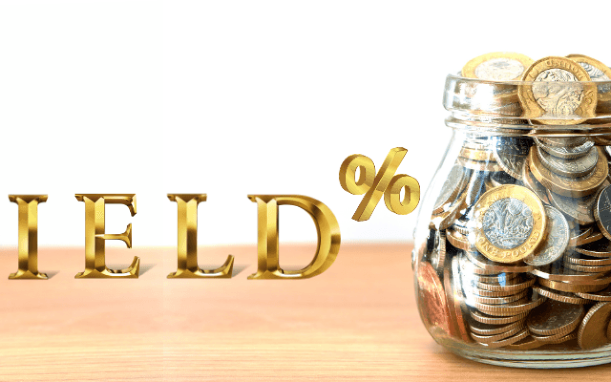 Dividend Yield: O que é e como calcular?
