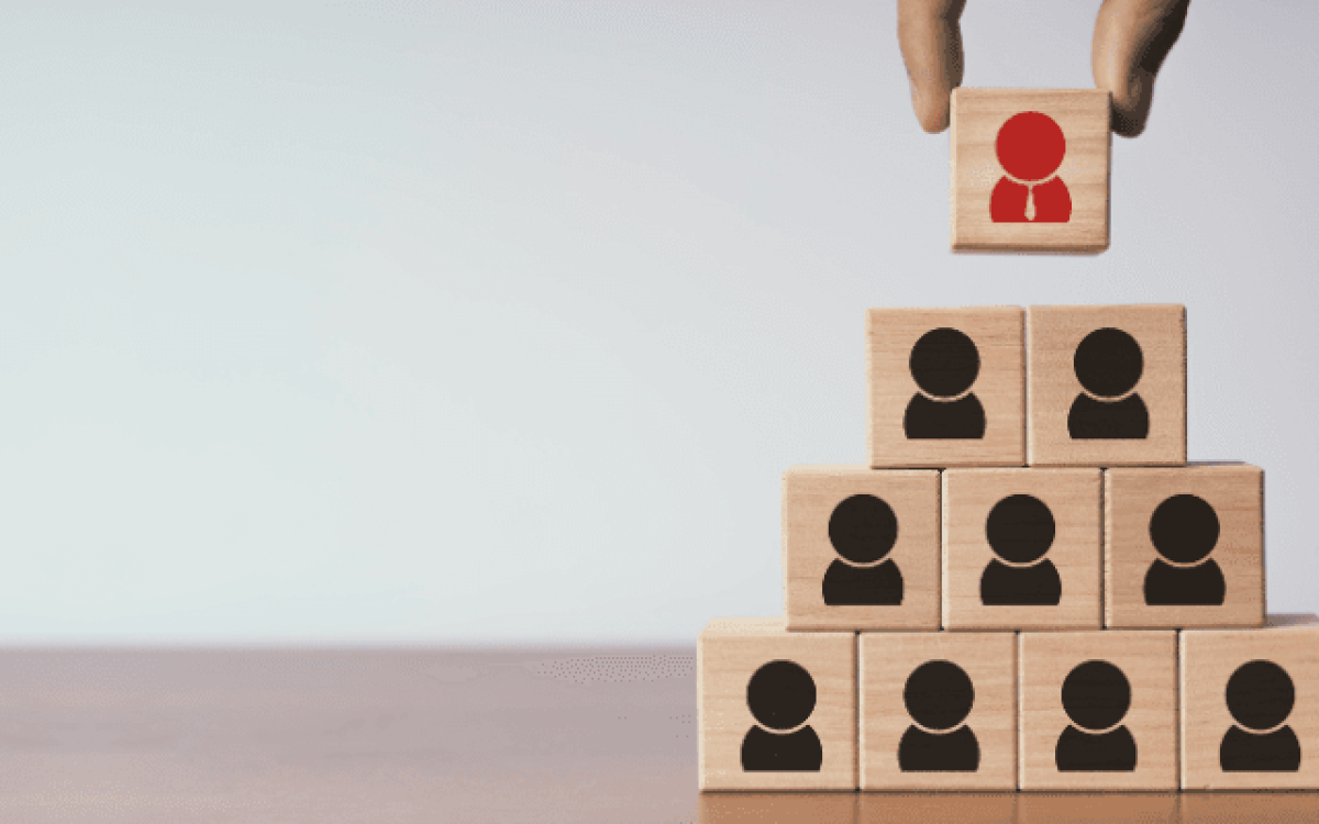 Gestão Vertical: Entenda como aplicar para otimizar o desempenho organizacional