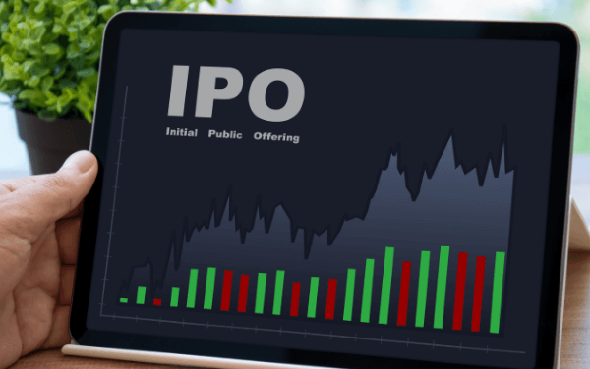 IPO: O que é e como funciona a Oferta Pública Inicial para investidores