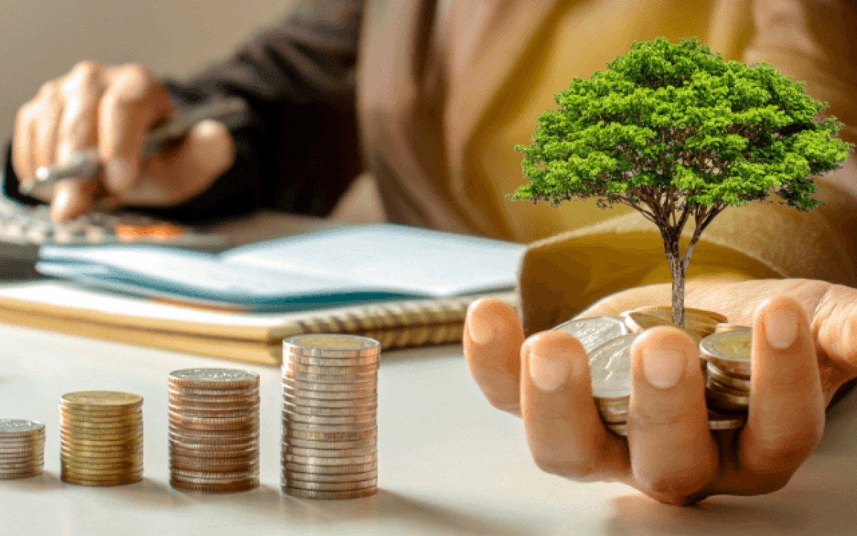 Melhores investimentos para iniciantes: Como começar com segurança e resultados.