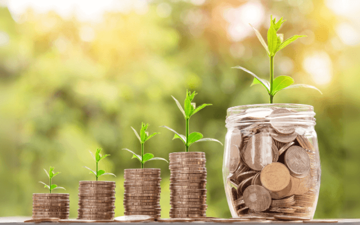 Renda passiva e renda ativa: O que são e quais as suas diferenças