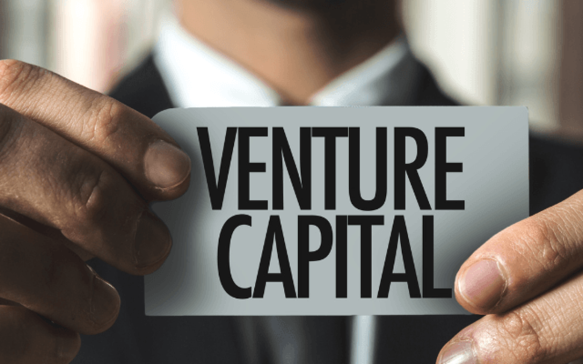 Venture Capital: O que é, como funciona e seu papel no mercado de investimentos