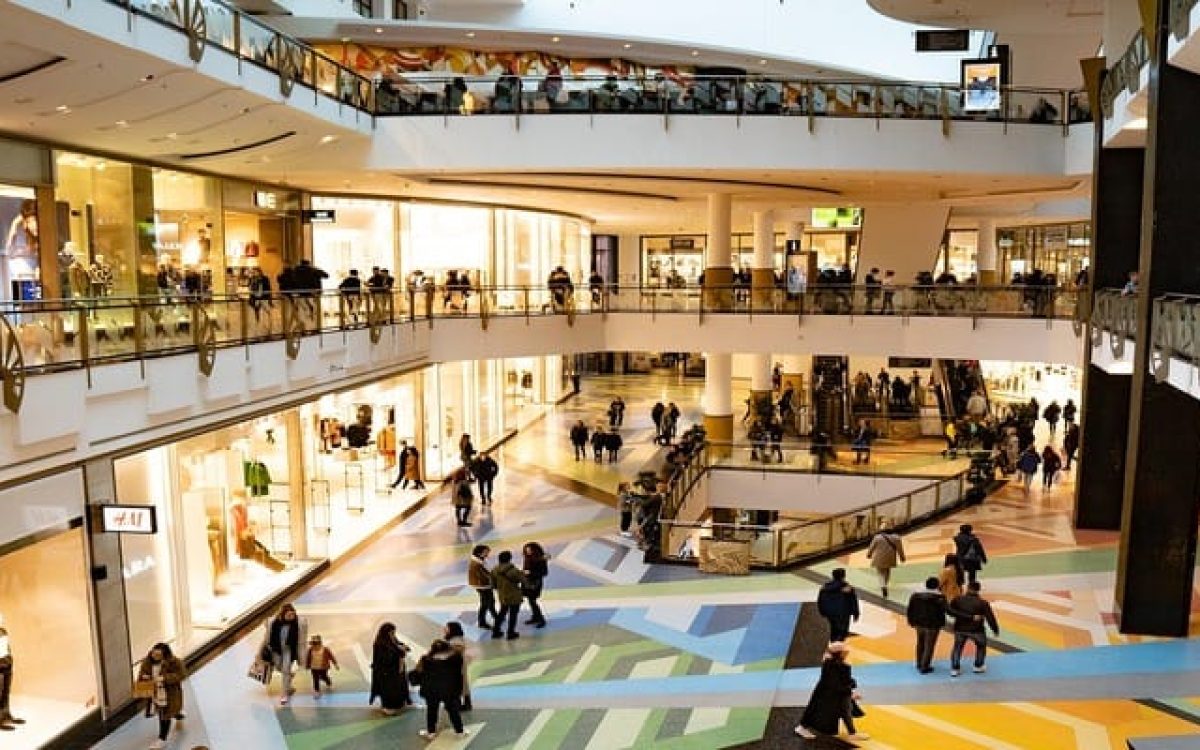 XPML11 anuncia dividendos para fevereiro, veja o valor e data de pagamento