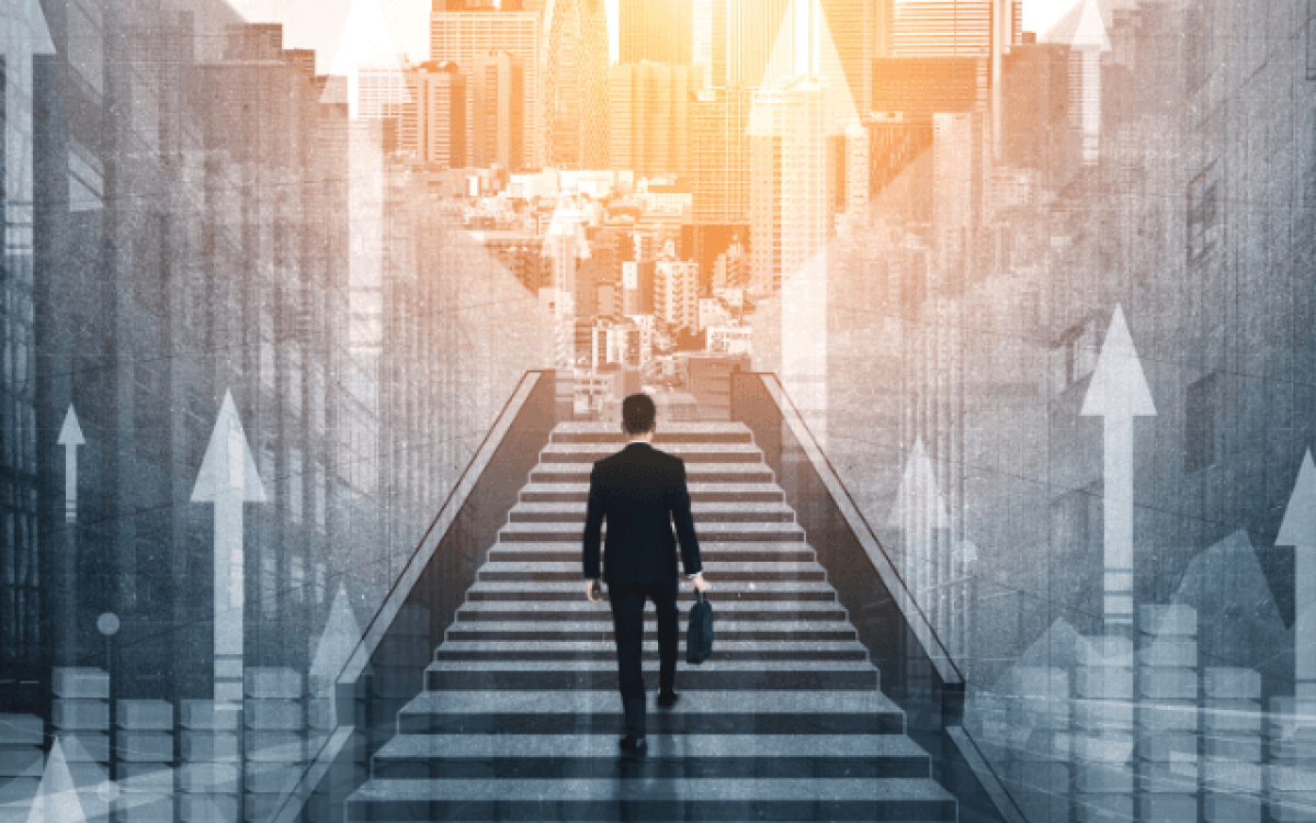 Lucro Líquido: como interpretar de forma profissional